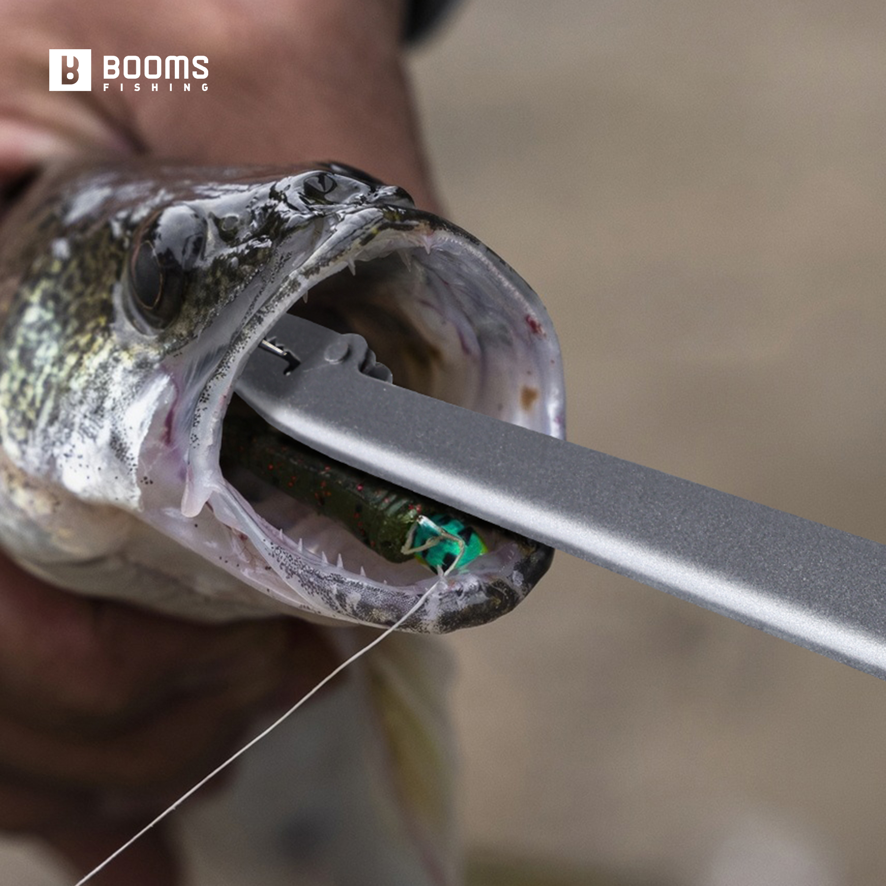 Booms Fishing 25cm Carbon Stee - огляд і ціна Fishing Equipment Target
